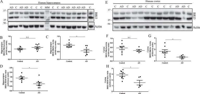 Fig.2