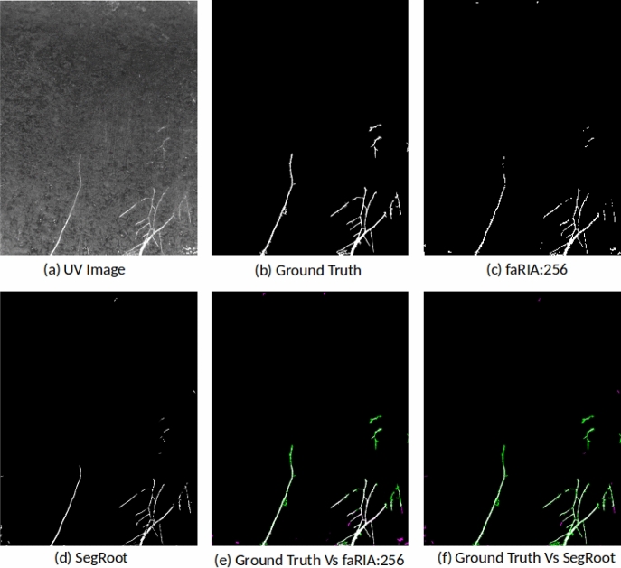 Figure 10