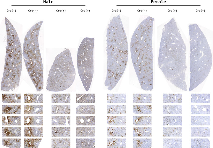 FIG 3