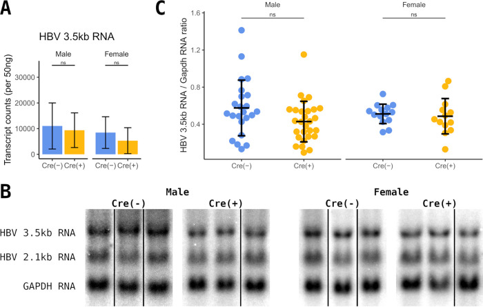 FIG 6