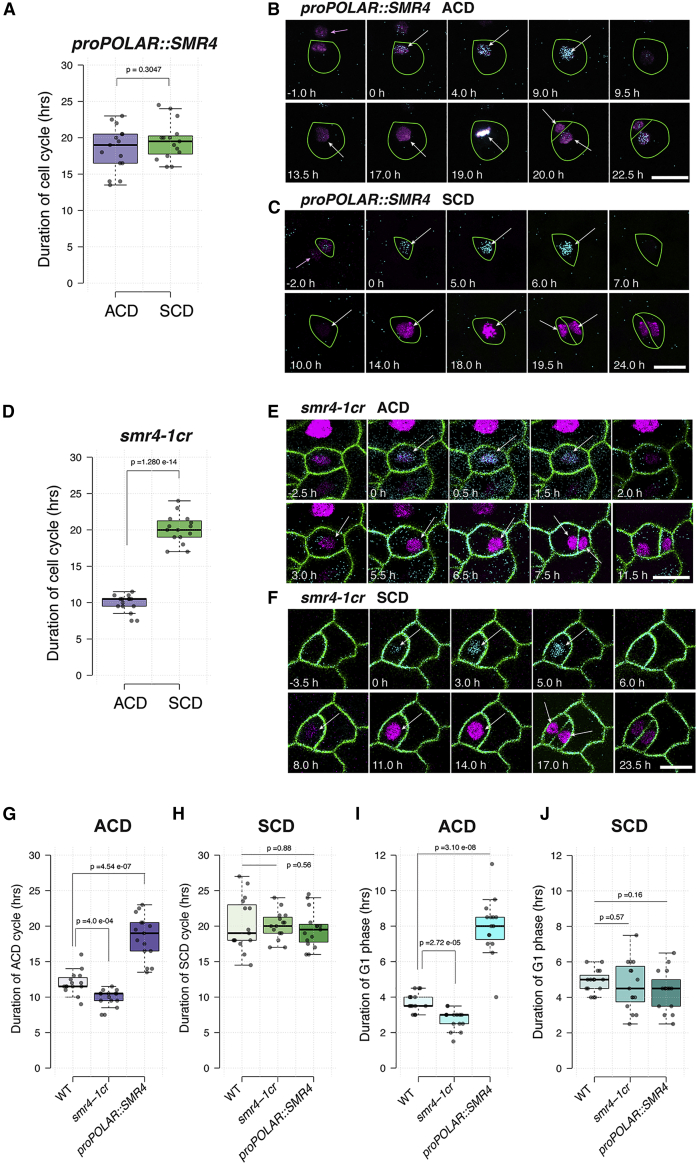 Figure 6