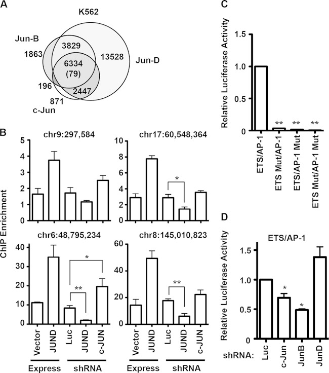 FIG 2