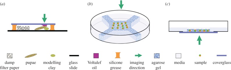 Figure 2.