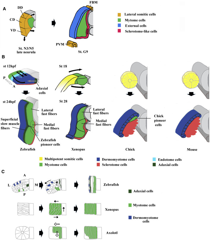 FIGURE 3