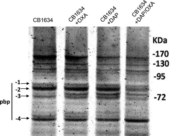 FIG 3