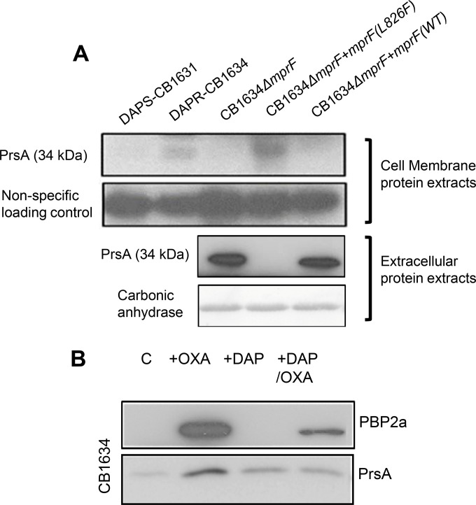 FIG 6