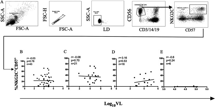 FIG 4