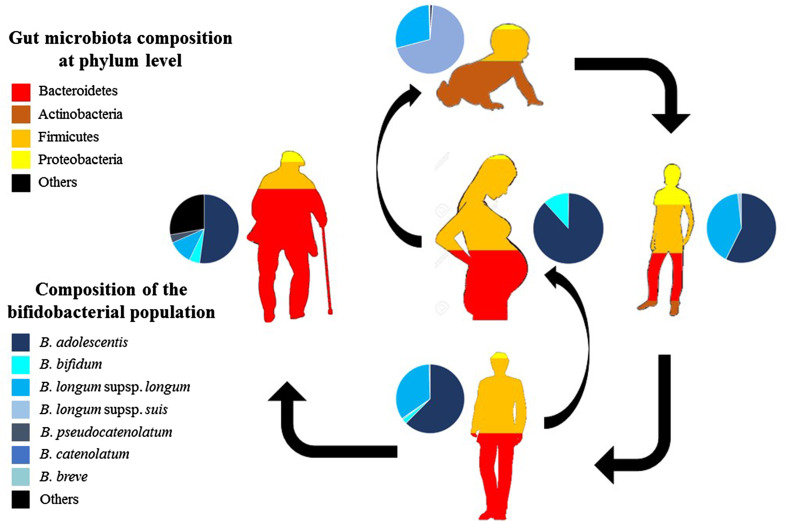 Fig. 2