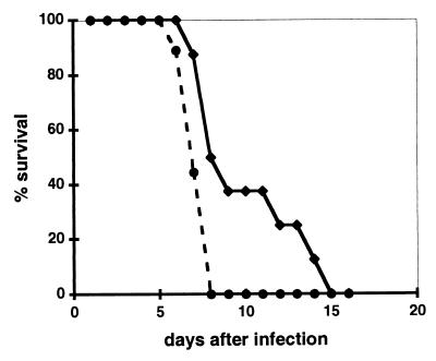 FIG. 7