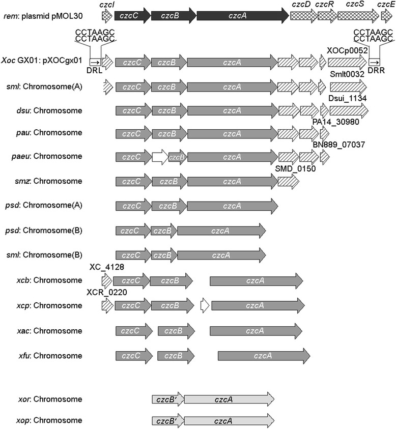 Fig. 6