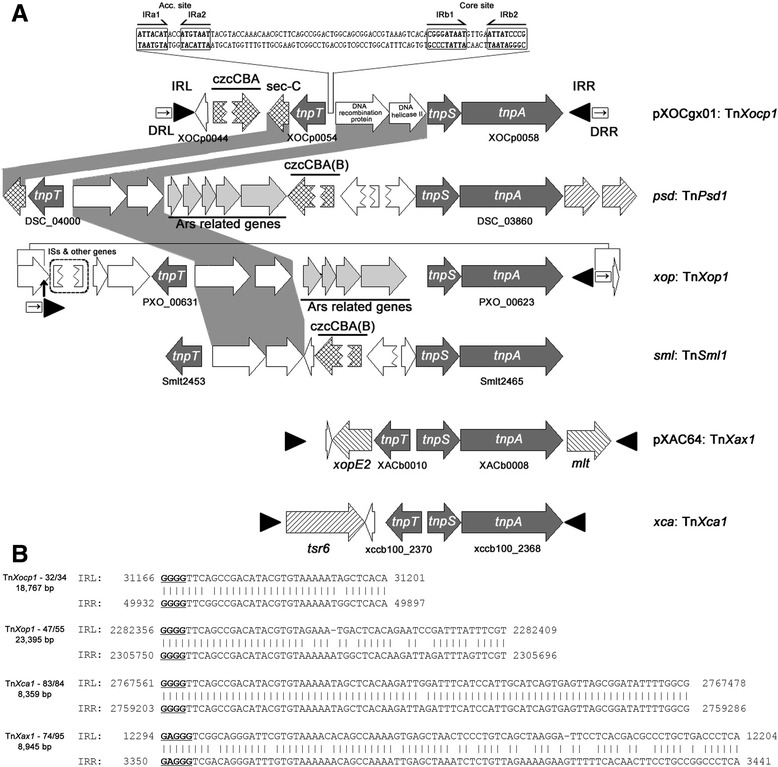 Fig. 4