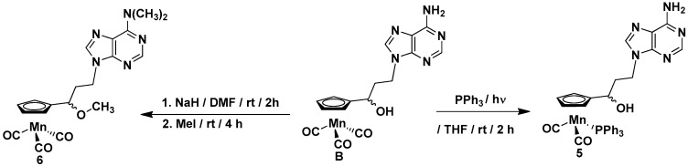 Scheme 2