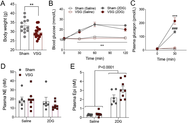 Figure 3