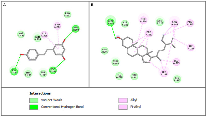 Figure 5