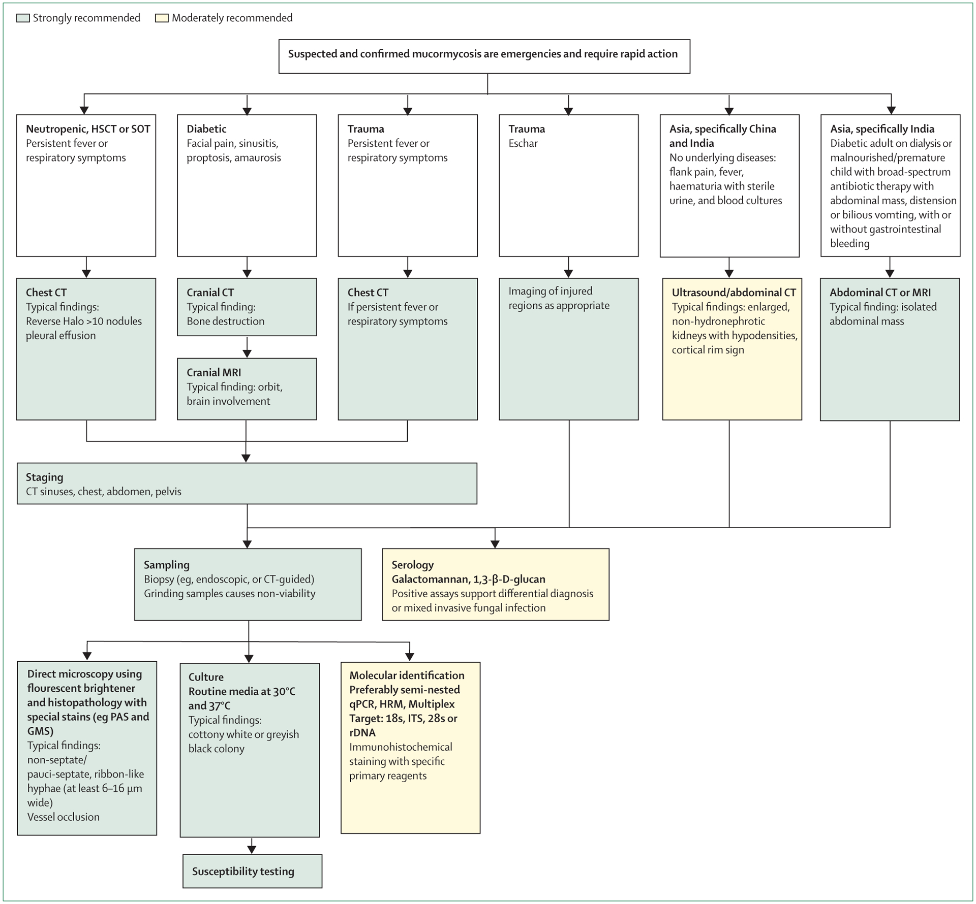 Figure 2: