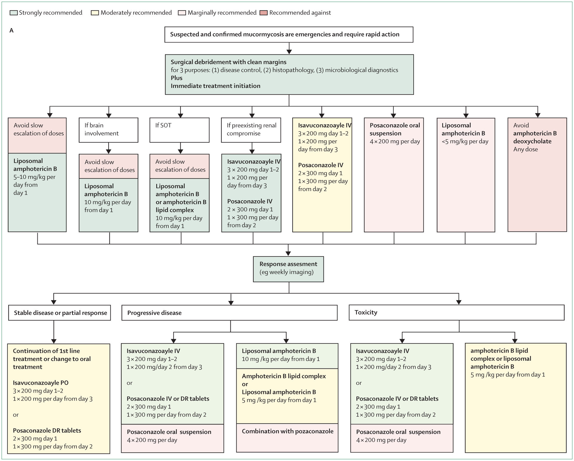 Figure 5: