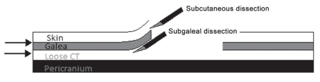 Figure 2)