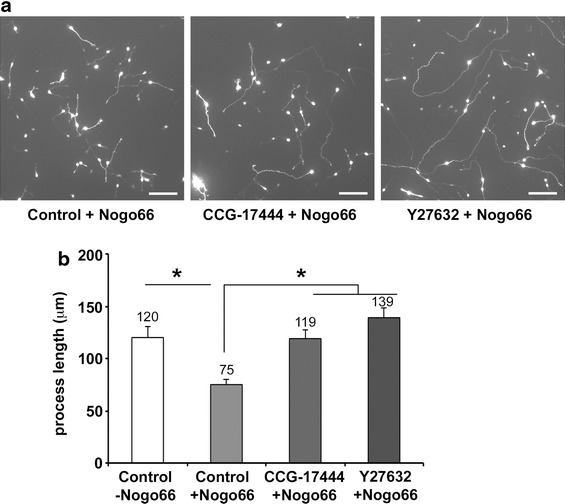 Figure 6