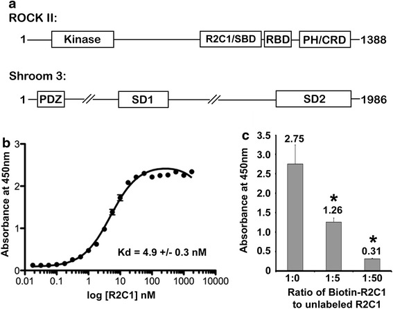 Figure 1