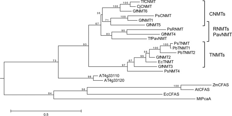 FIGURE 2.