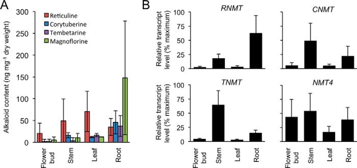 FIGURE 6.