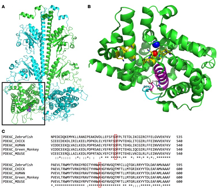 Figure 6