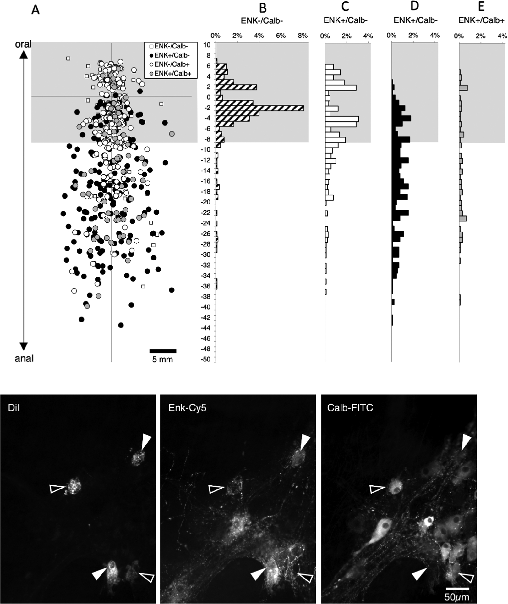 Figure 5: