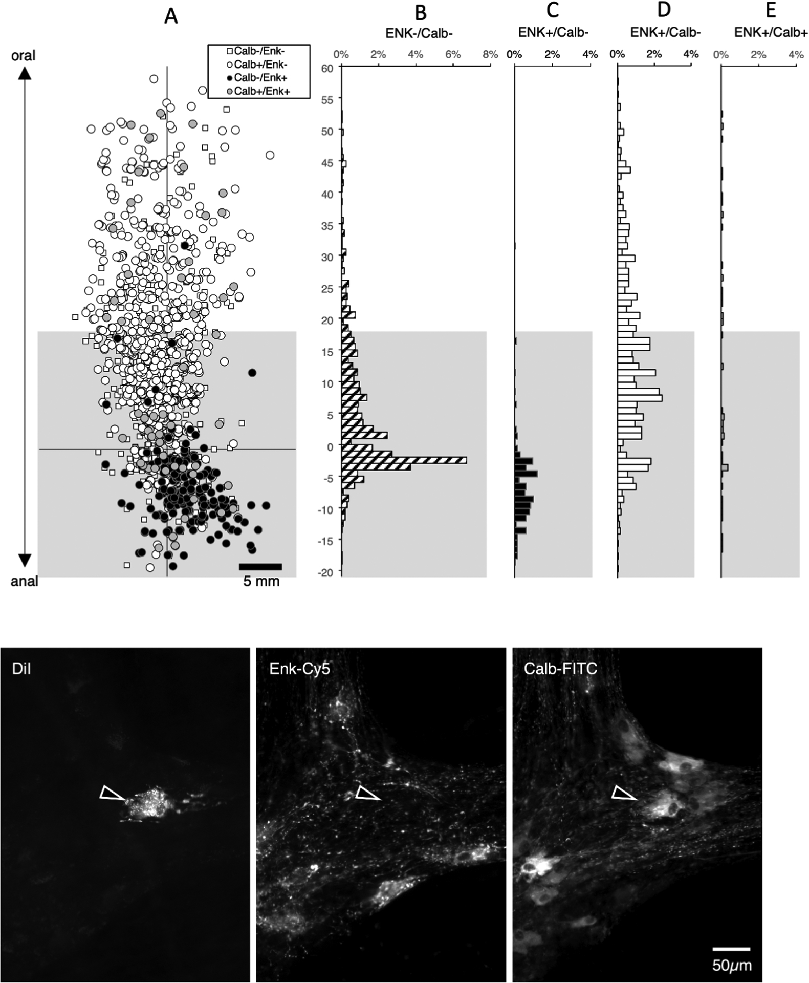 Figure 6: