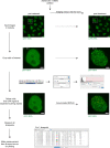 Figure 5—figure supplement 5.