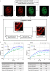 Figure 3—figure supplement 1.