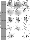 Figure 5—figure supplement 1.