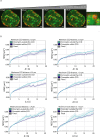 Figure 4—figure supplement 1.