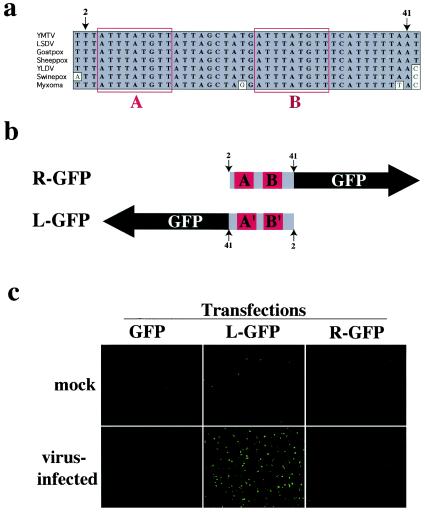 FIG. 4.