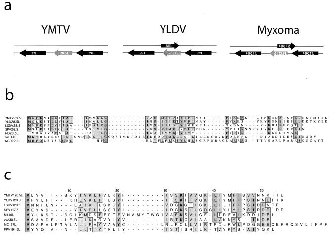 FIG. 6.