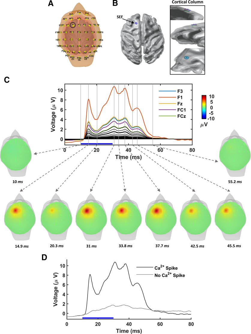 Figure 6.