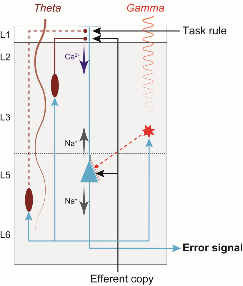 Figure 7.