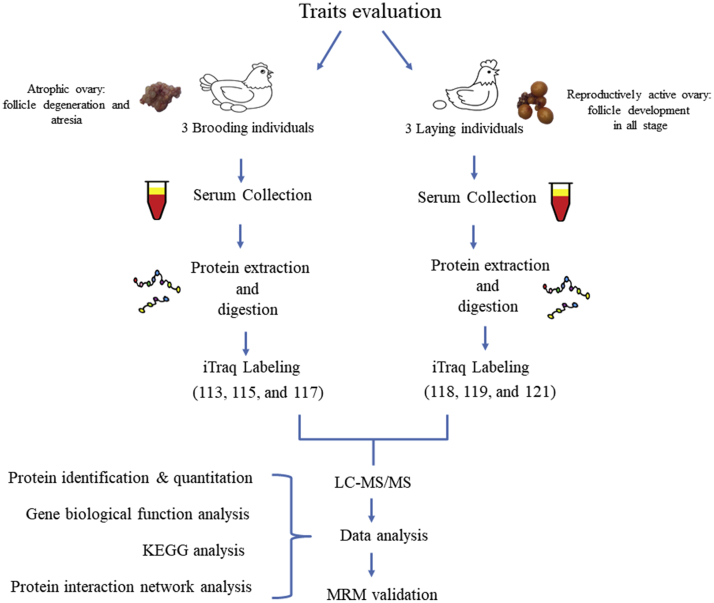 Figure 1