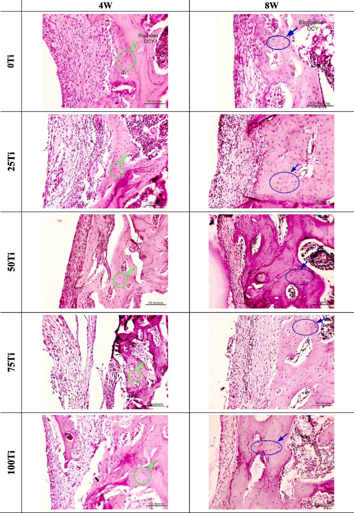 Fig. 8