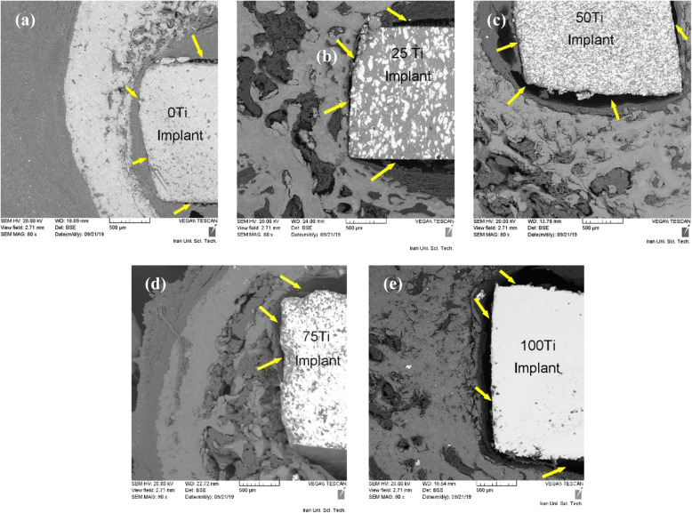 Fig. 9