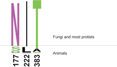 Figure 5.