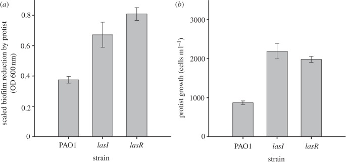 Figure 2.