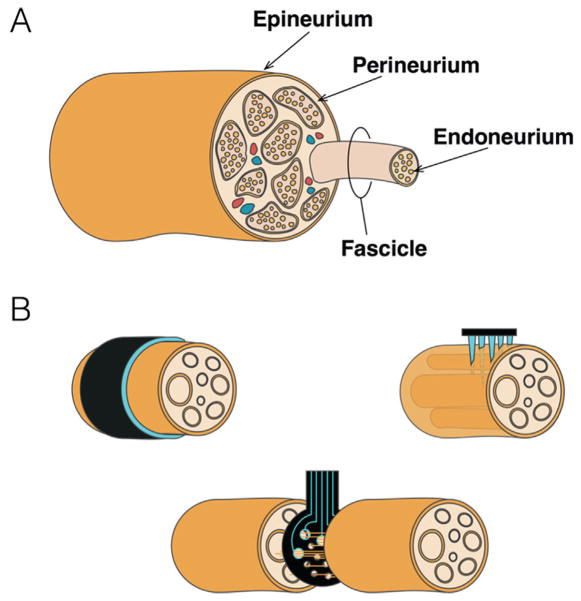 FIG. 3