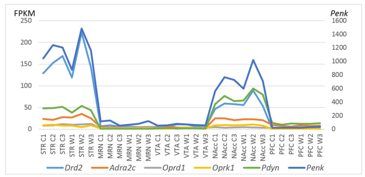 Figure 7