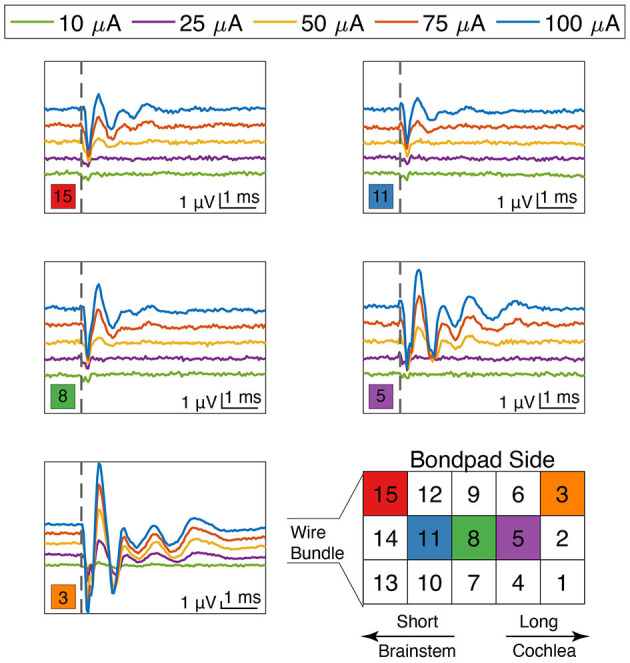 Figure 7