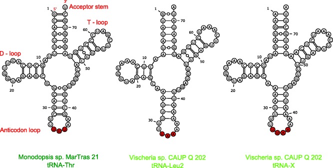 Fig. 7.—