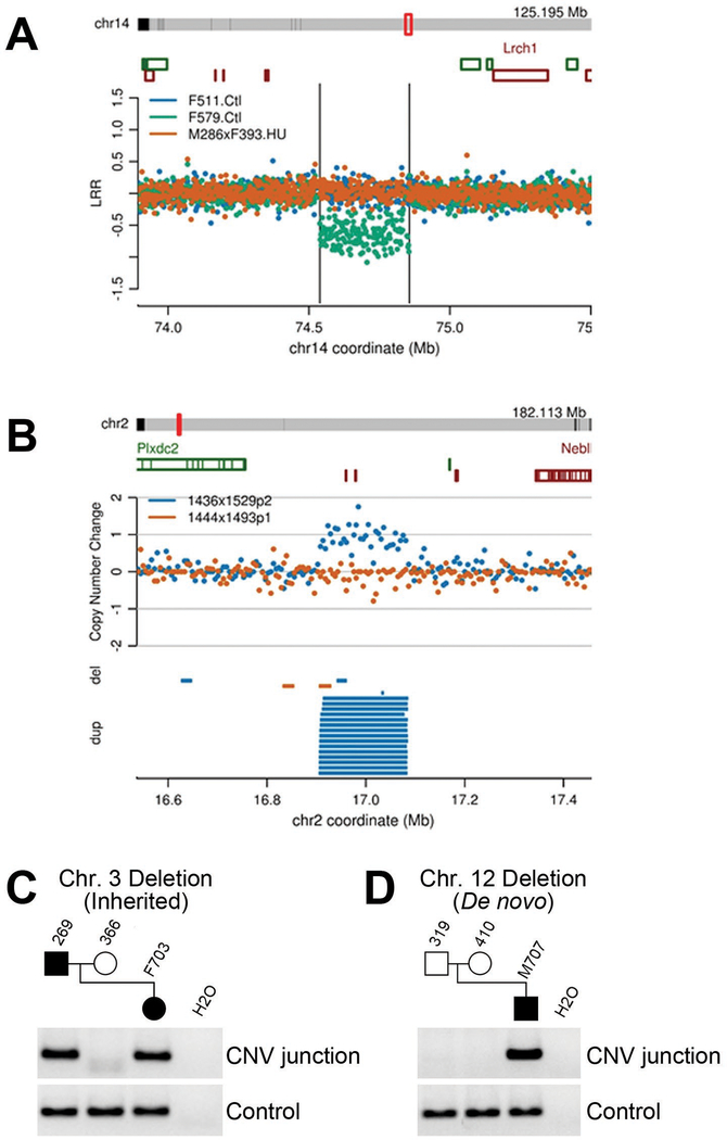 Figure 6: