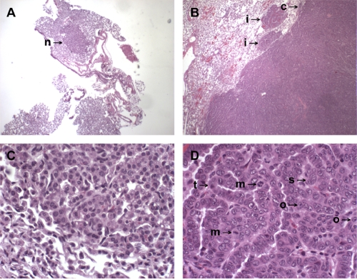 Fig. 12.