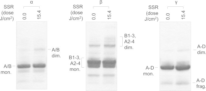 Fig. 6