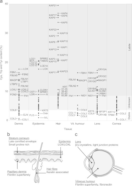 Fig. 7