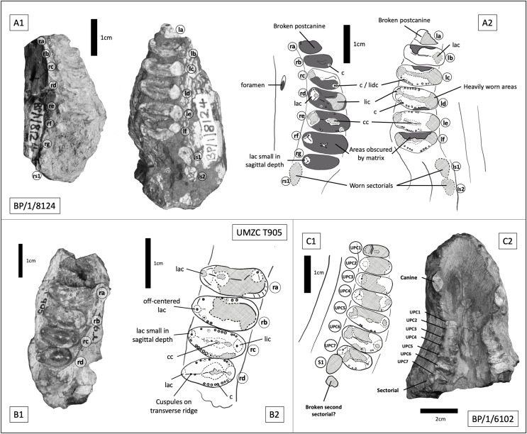 Figure 11